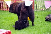 Nicht nur vom Regen