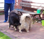Kosmo und Wanja 