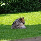 Und was ist mit mir?