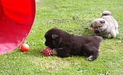 Jim und Eywa