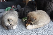 Eywa und Jago