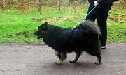 Kosmo