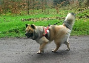 Keiko (Patsy)
