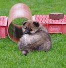 Keiko