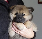 Keiko