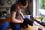 Luca
