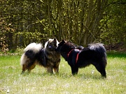 Lima und Lasse