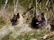 Leni und Tajo