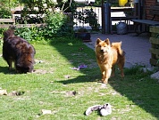 Stella mit 7 Monaten