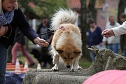 Dina