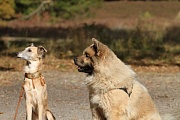 Ailinel und Raissa