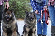 Frodo und Fenny