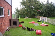 Die Wimpelketten 