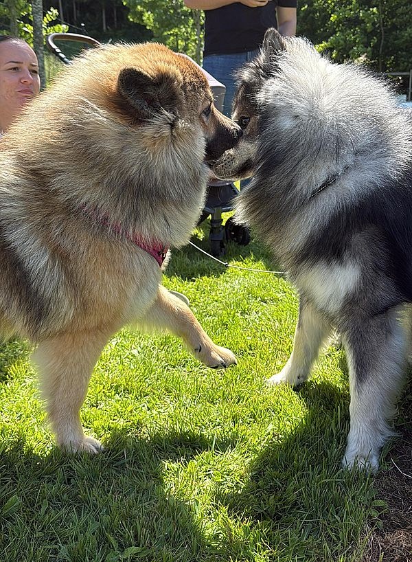 12_818