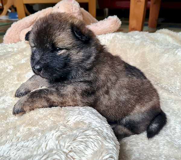 1_600_24