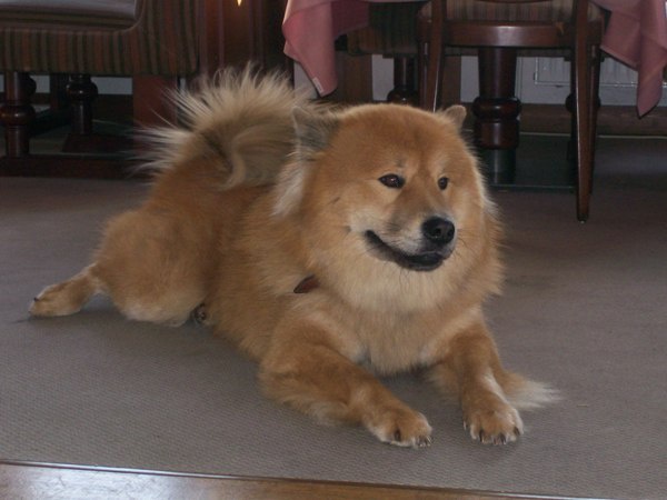 buddy_2008_600 buddy_2008_600