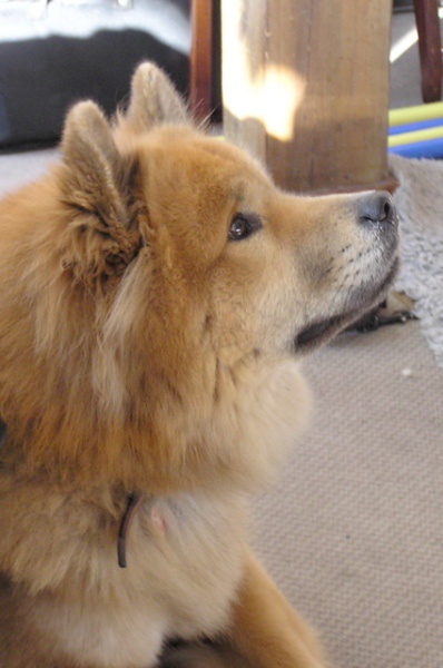 buddy_2_600 buddy_2_600