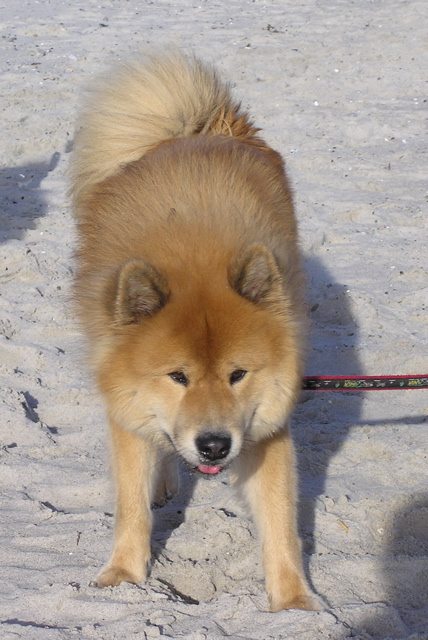 buddy_3_640 buddy_3_640