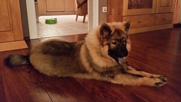 img-20161111-wa0016_600 img-20161111-wa0016_600