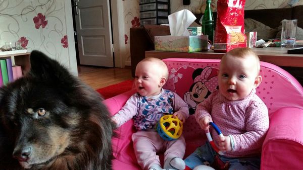 img-20161218-wa0018_600 img-20161218-wa0018_600