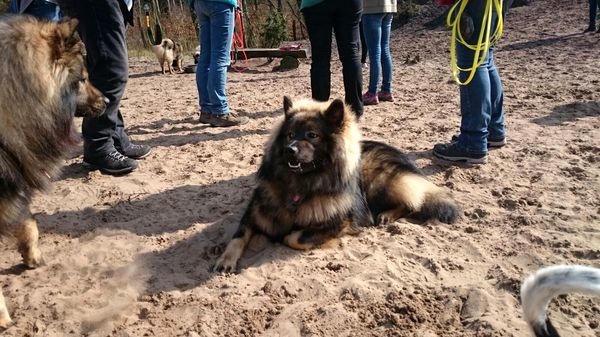 img-20170401-wa0075_600 img-20170401-wa0075_600