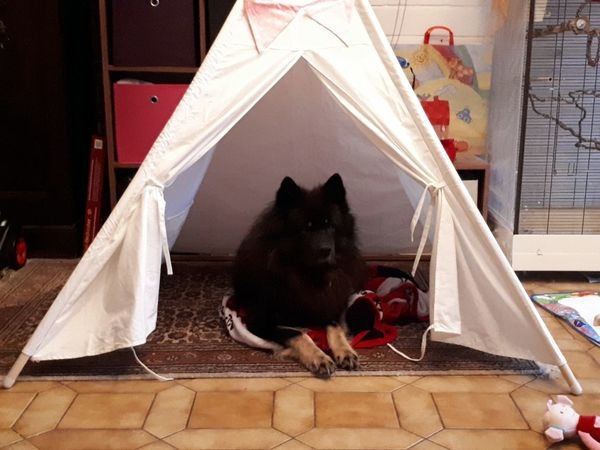 img-20171230-wa0015_600 img-20171230-wa0015_600