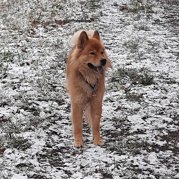 img-20250104-wa0014_600 img-20250104-wa0014_600