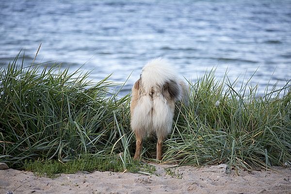 img_6600_600 img_6600_600