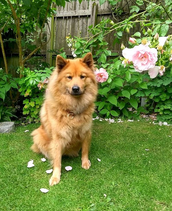 nala_736_01 nala_736_01