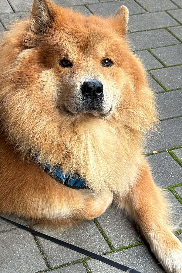 odin_6_899 odin_6_899