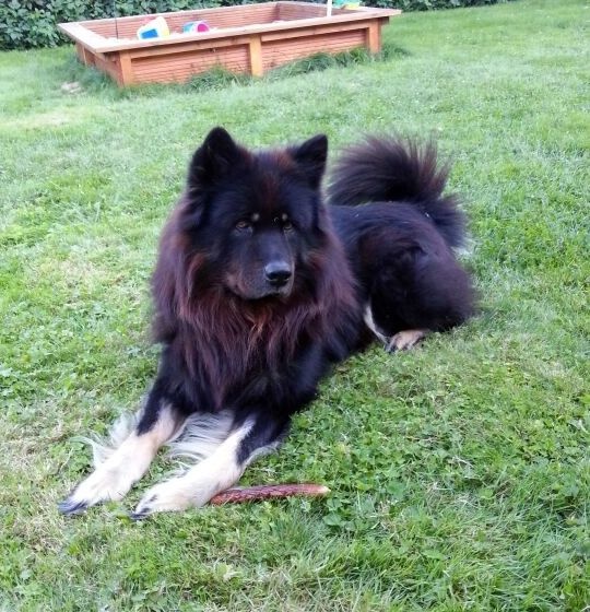 teddy2_560 teddy2_560
