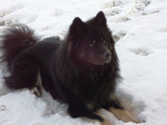 teddy_576 teddy_576